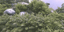 Image 153383