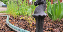 Image 15399