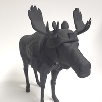 Moose - Thumbnail 2