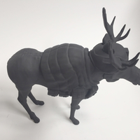 Moose - Thumbnail 4