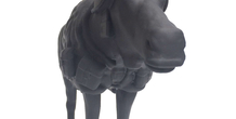 Image 154393