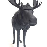 Moose - Thumbnail 7