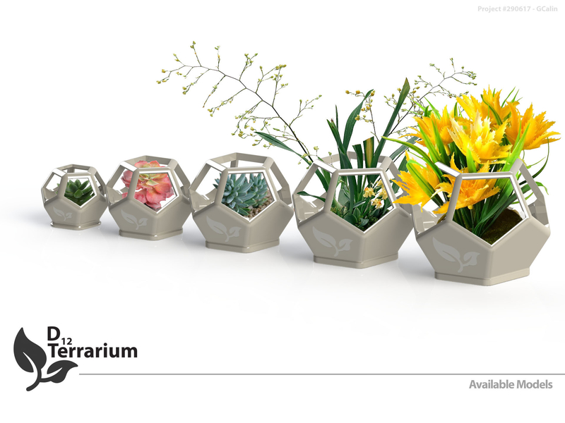 D12 Terrarium