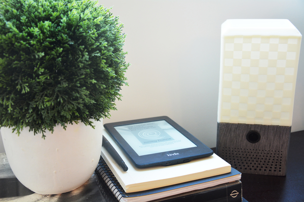 Smart Assistant Speaker and Lamp (Google Assistant or Amazon Ale