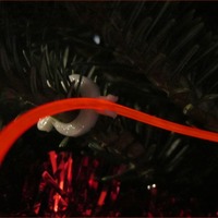 EL Wire Christmas Tree Clip - Thumbnail 2