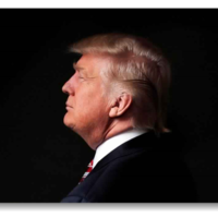 Head sculpture of Donald Trump - Thumbnail 1