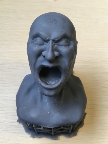 Scream 3D Print 155992