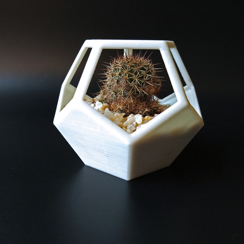 Dodecahedron Planter 3D Print 156119