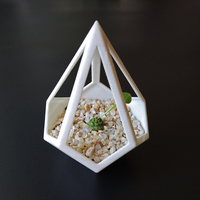 Pyramid Dodecahedron Planter - Thumbnail 4