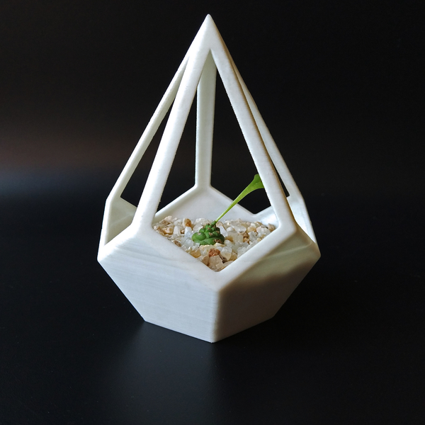 Pyramid Dodecahedron Planter
