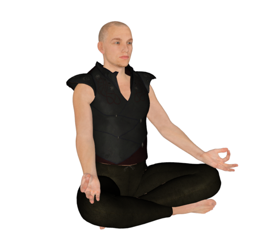 Meditation 3D Print 156308
