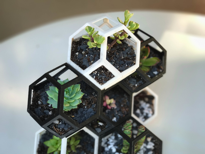 Plantygon - Modular Geometric Stacking Planter 3D Print 156402