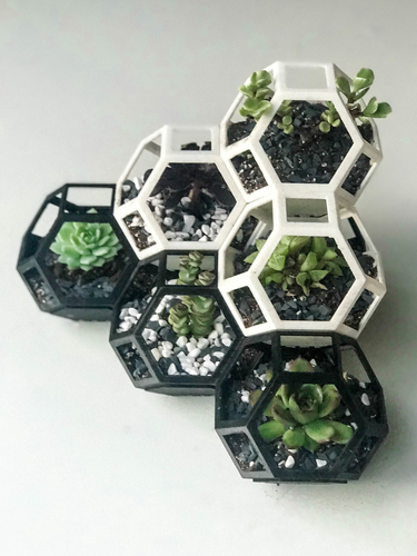 Plantygon - Modular Geometric Stacking Planter 3D Print 156404