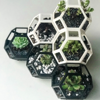 Plantygon - Modular Geometric Stacking Planter - Thumbnail 3