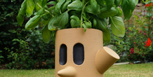 Image 156613
