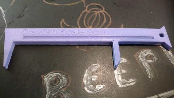 Crayfish measuring tool