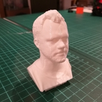Small Daniel Norée 3D Scan 3D Printing 157718