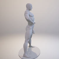 Naked Bodybuilder Statue with penis - Thumbnail 3