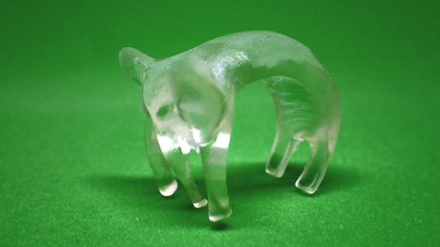 Elephant ring 3D Print 157810