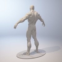 Naked Bodybuilder 2  Statue with penis - Thumbnail 3