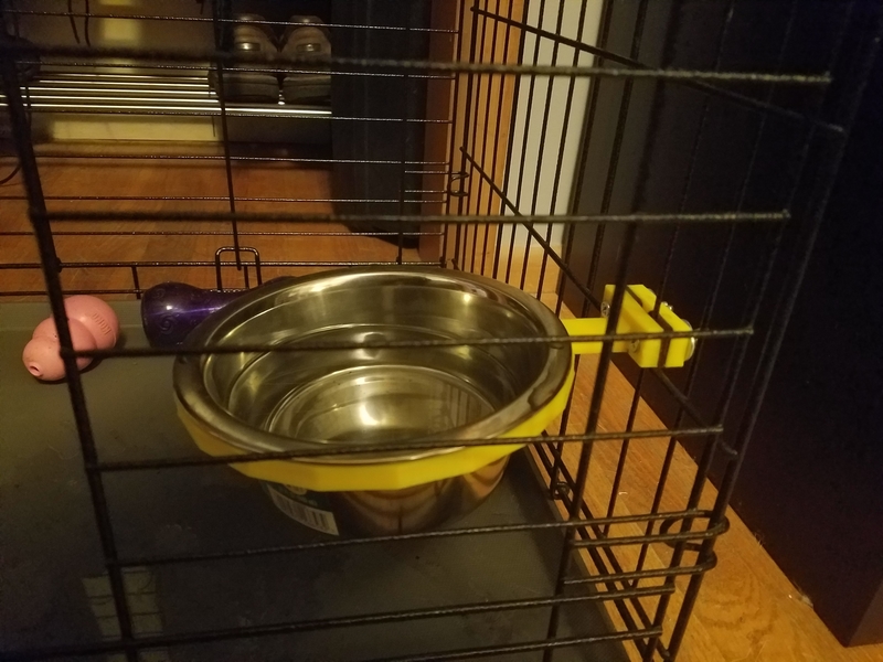 Dog bowl holder for kennel