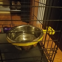 Small Dog bowl holder for kennel 3D Printing 158068
