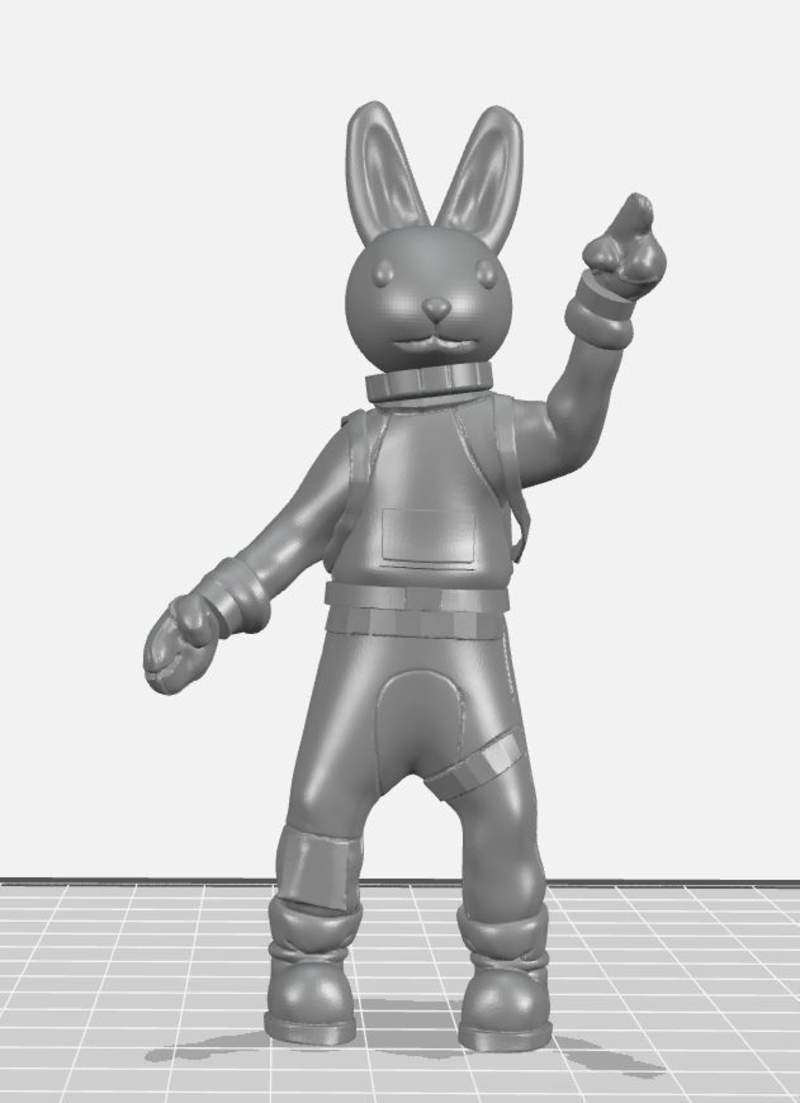 space rabbit