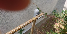 Image 158766