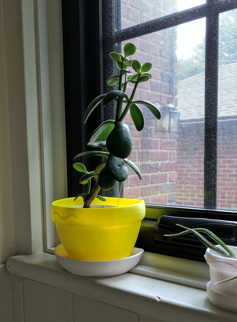 windowsill planter pot