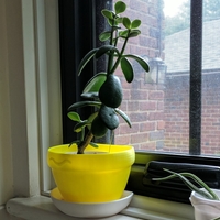 windowsill planter pot - Thumbnail 2