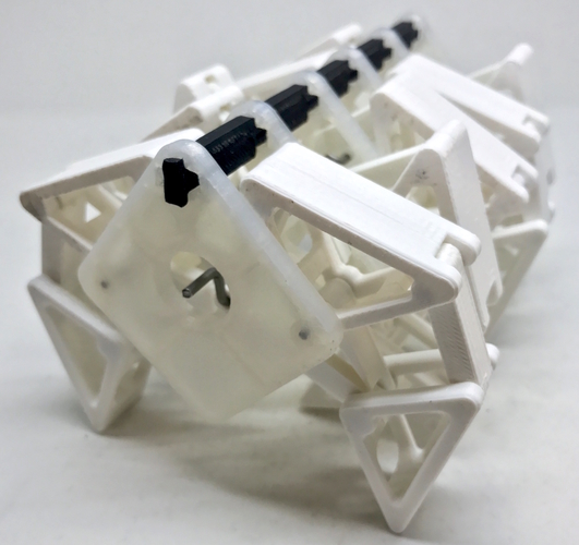 The Humble Velocipede 3D Print 159772