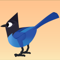 Small Steller's Jay 3D Printing 160110