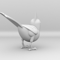 Steller's Jay - Thumbnail 4