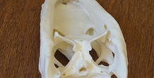 Image 160644