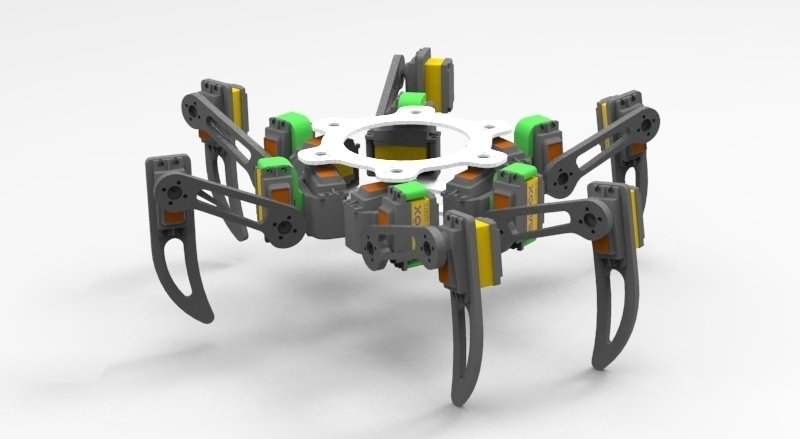Hexapod Experience