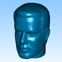 Man' Head (1) - Thumbnail 1