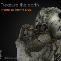 Hermit crabs - Thumbnail 2