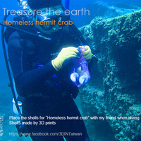 Hermit crabs - Thumbnail 4