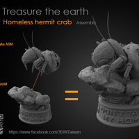 Hermit crabs - Thumbnail 8
