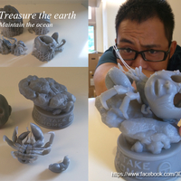Hermit crabs - Thumbnail 9