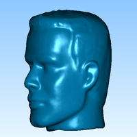 Man' Head (1) - Thumbnail 3