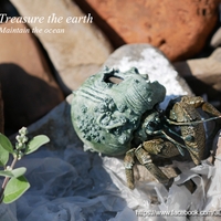 Hermit crabs - Thumbnail 10