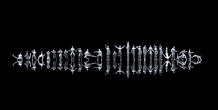 Image 161243