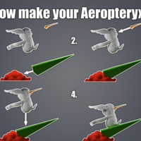 Aeropteryx - Thumbnail 3
