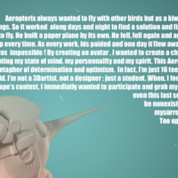 Aeropteryx - Thumbnail 5