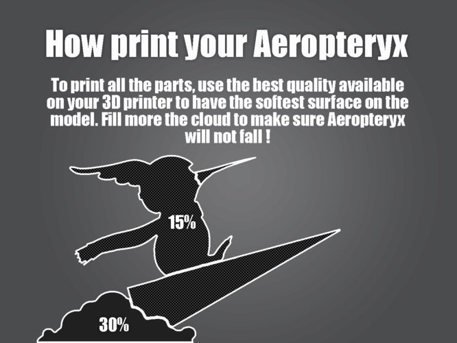 Aeropteryx 3D Print 161400