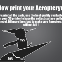 Aeropteryx - Thumbnail 6