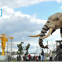 City Dream Elephant - Thumbnail 1