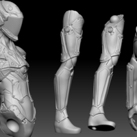 The Protector "EYE" - Thumbnail 2