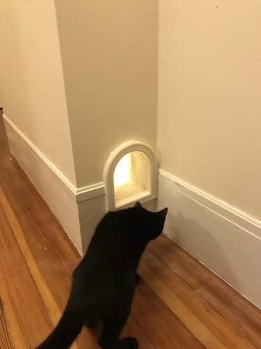 Cat Door 3D Print 162396